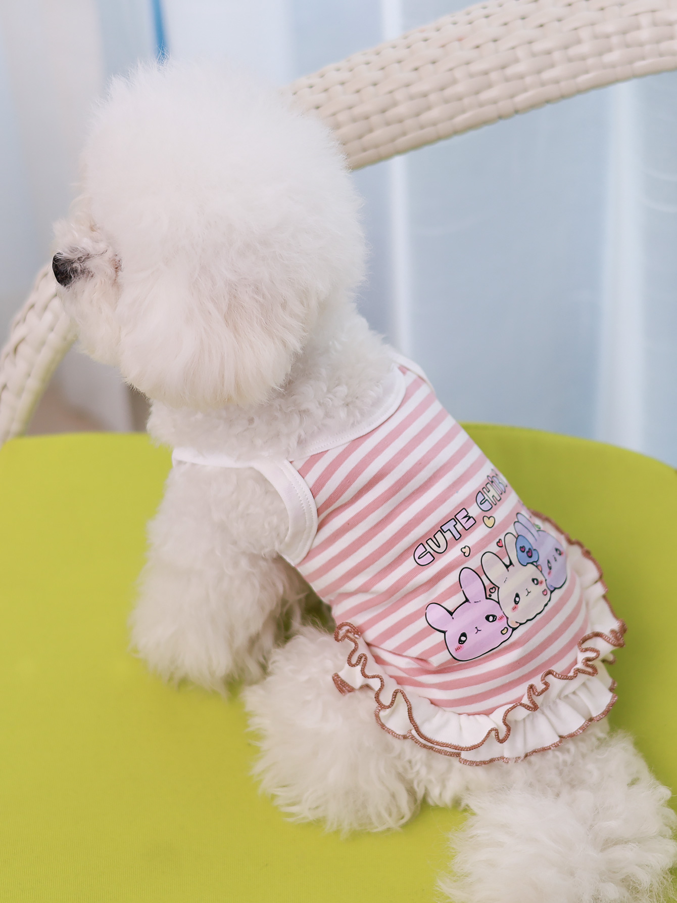 Dog vest, summer breathable th – Summer Clothing Material recenzja i cena