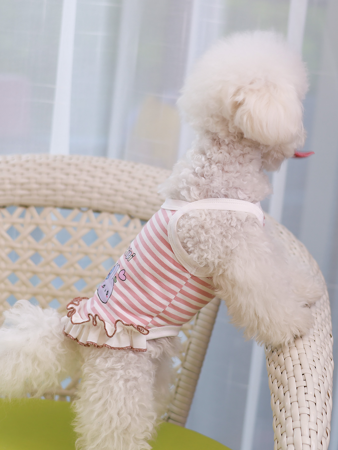 Dog vest, summer breathable th – Summer Clothing Material recenzja i cena