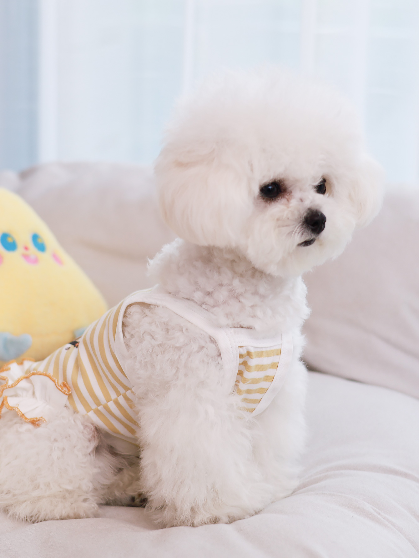 Dog vest, summer breathable th – Summer Clothing Material recenzja i cena
